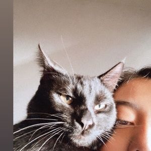 Meet your Posher, Merilyn